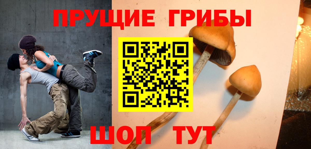 Псилоцибиновые грибы прущие грибы Белогорск